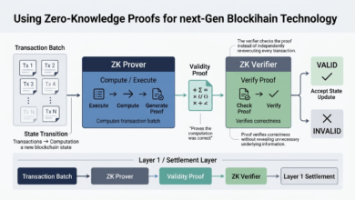 Technical diagram depicting the prover and verifier interaction in a zero-knowledge proof system for blockchain transaction batching